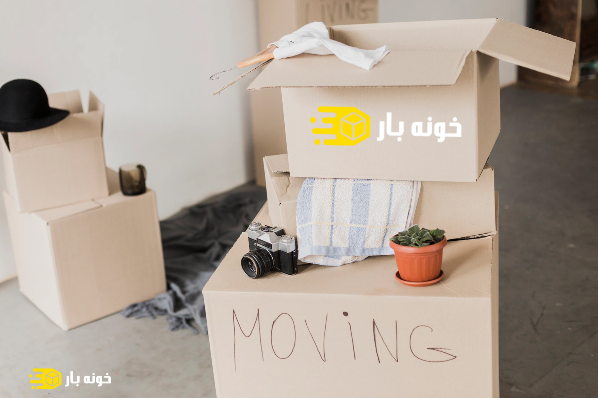 باربری وویس