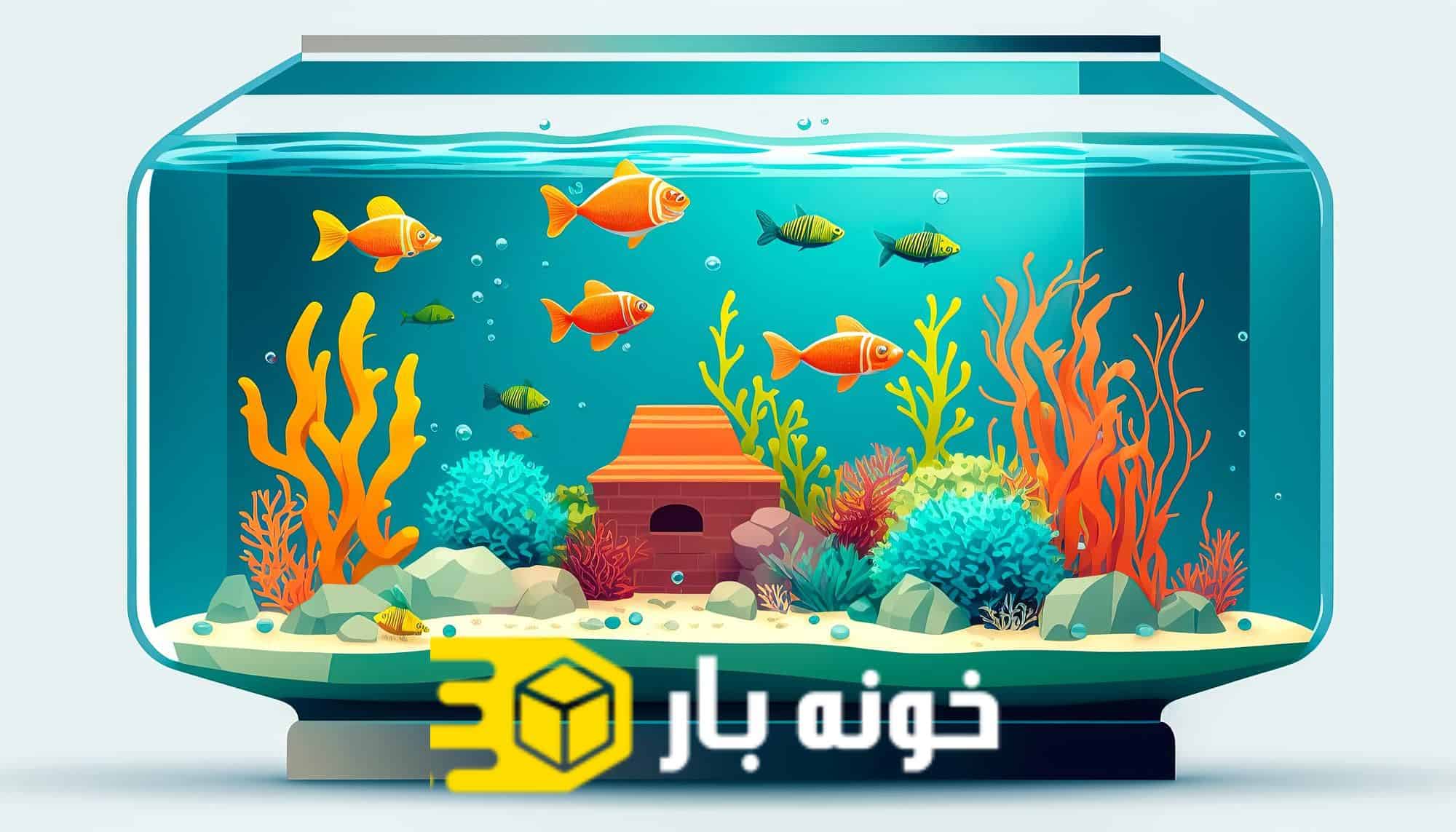 نحوه جابجایی آکواریوم به صورت ایمن