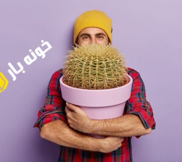 نحوه جابجایی گل و گیاه در زمان اسباب کشی