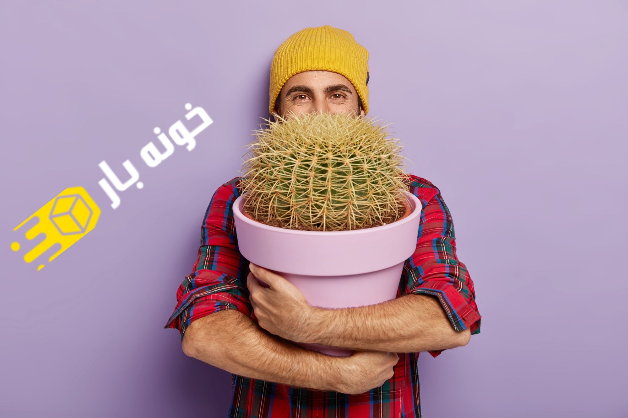 نحوه جابجایی گل و گیاه در زمان اسباب کشی