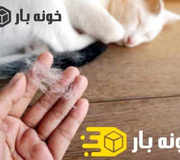پاک کردن موی حیوانات خانگی