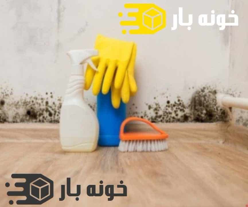 پاک کردن کپک از روی دیوار