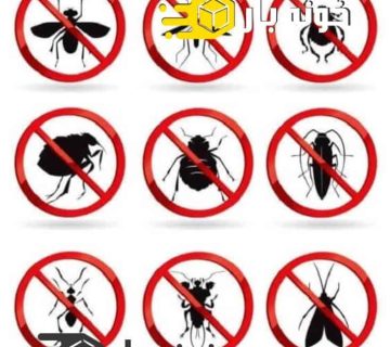 از بین بردن حشرات موذی با روش های خانگی