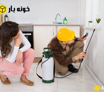 سم پاشی و از بین بردن حشرات موذی قبل از اسباب کشی