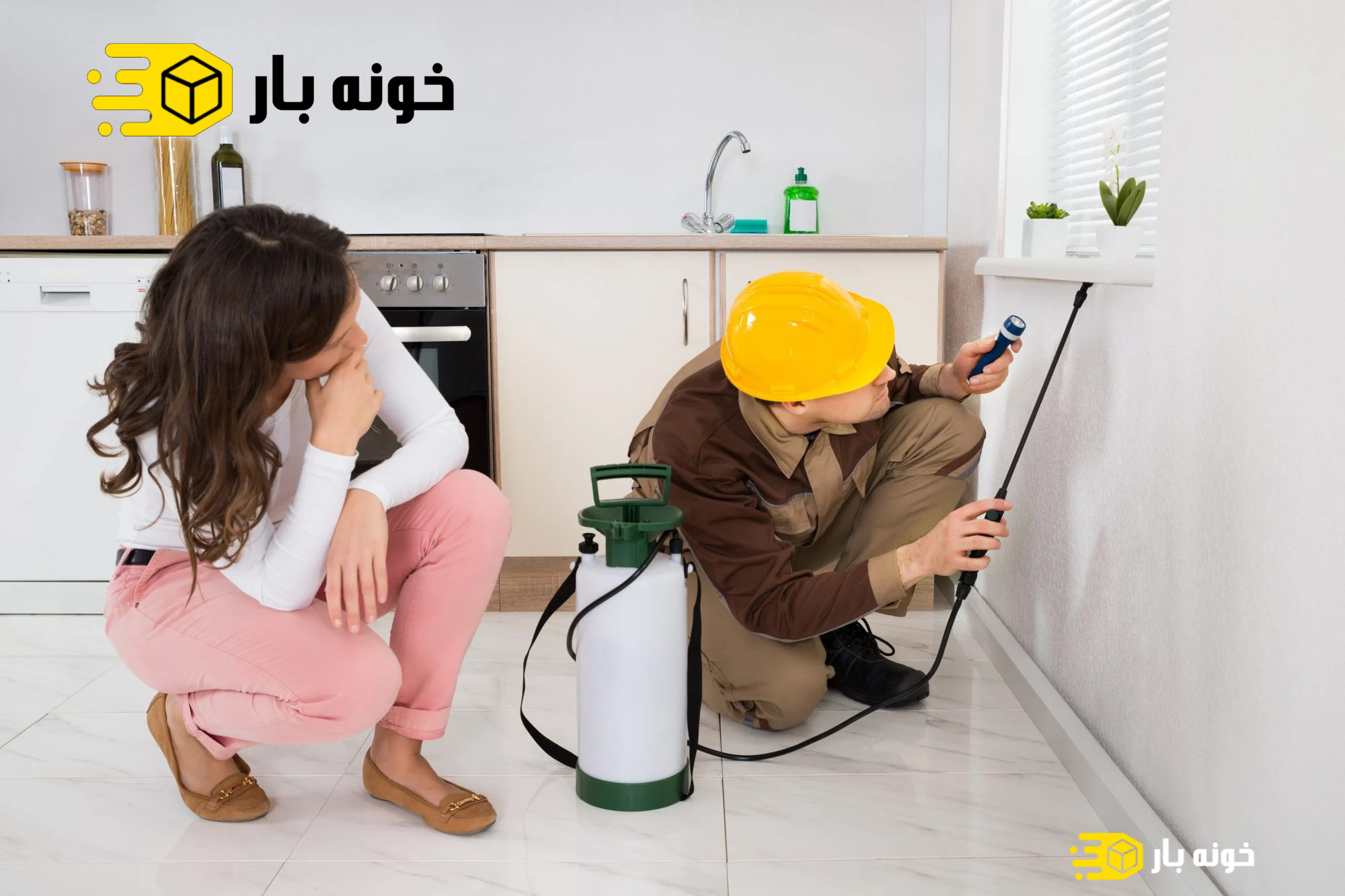 سم پاشی و از بین بردن حشرات موذی قبل از اسباب کشی