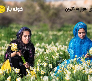باربری اهواز به کازرون